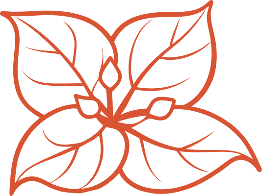 flower - Bougainville Flooring Super Store